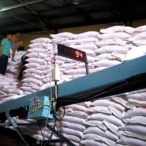 Băng tải cao su đếm sản phẩm