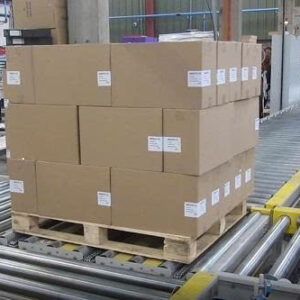 Băng tải hồi pallet