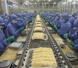 Băng tải thủy sản